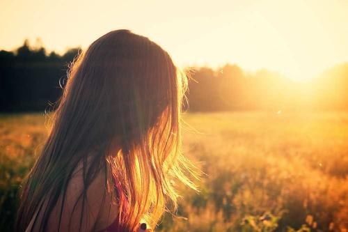 Vector Databases in 2026: A Practical Comparison of the Leading Options